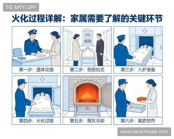 尊龙新版玩法规则详细介绍,带你了解每个环节的操作流程与注意事项