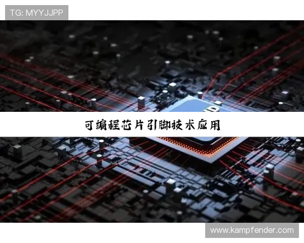 尊龙z6手机版最新版本下载与安装指南，轻松体验高品质游戏乐趣