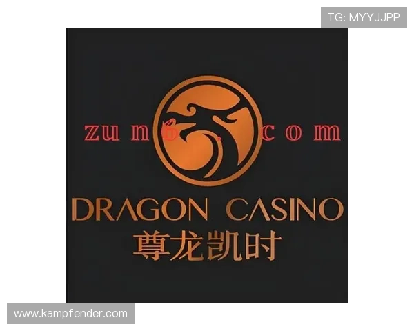 尊龙人生就是搏官网介绍丰富的奖金制度和多样的充值优惠，提升你的盈利空间